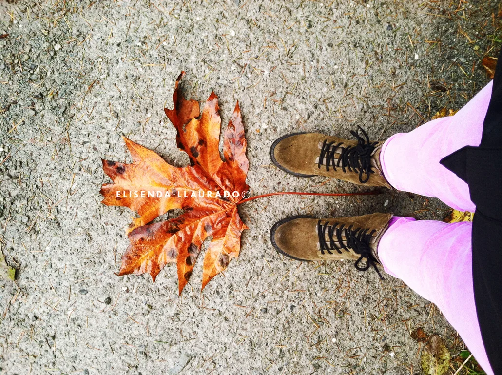 Feet&Leaves, Fall 2013.
