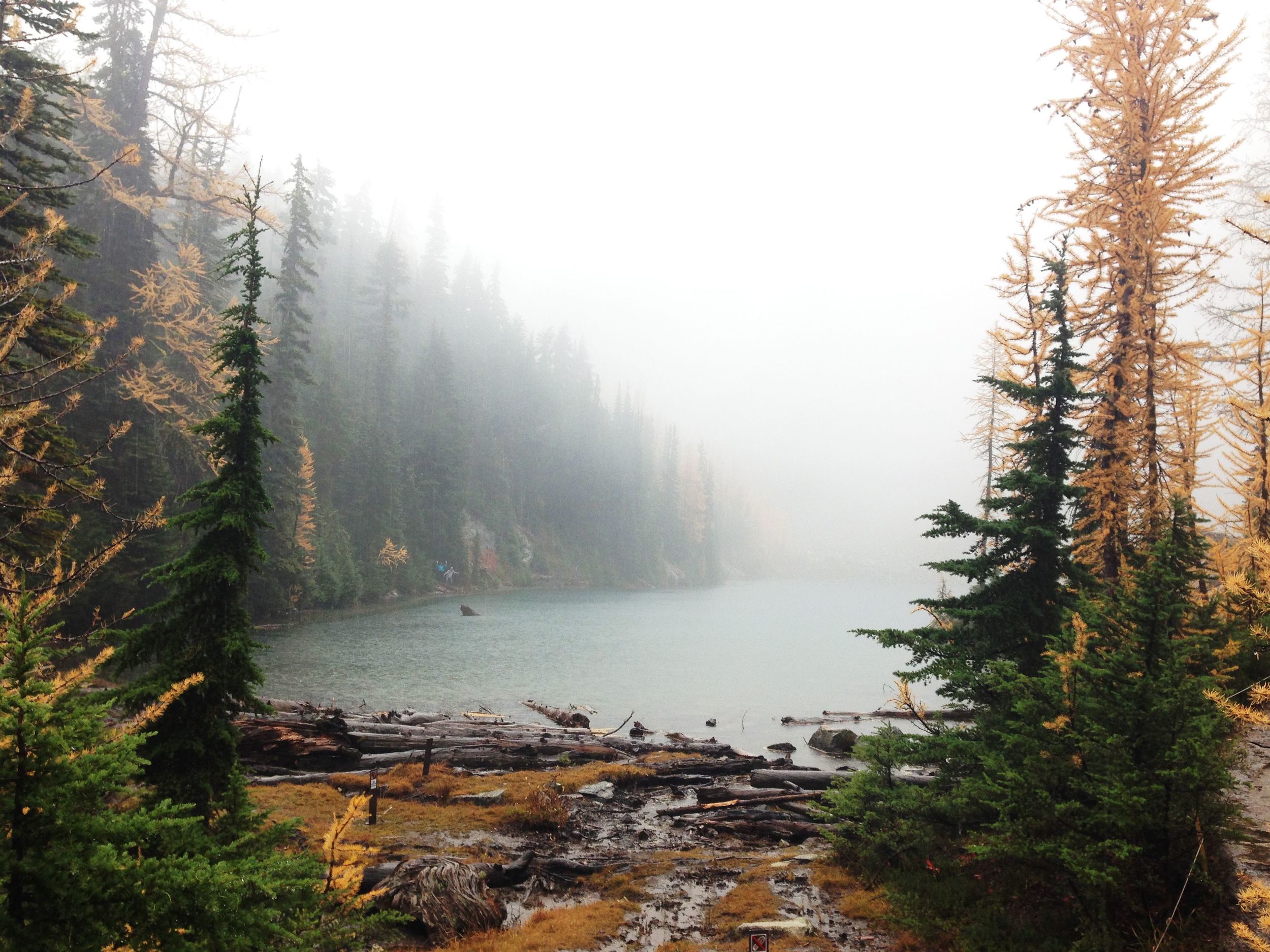 The view at the end of our hike.