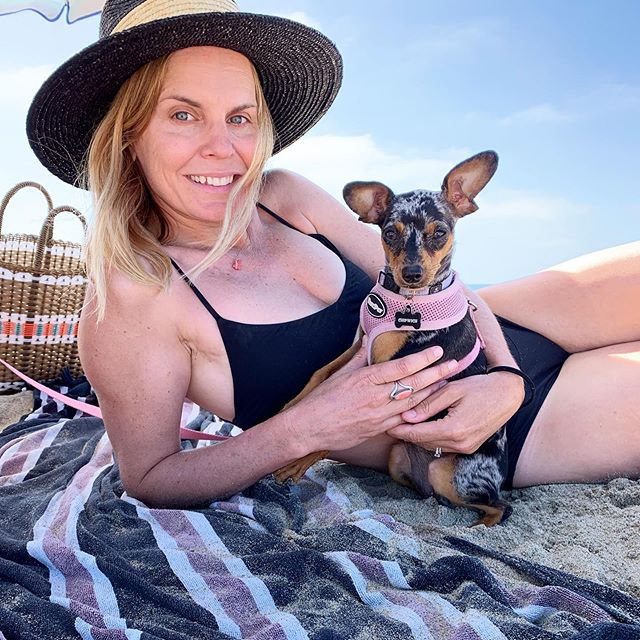 Did I miss International Doggy Day? No way! Our little Chipwich is the cutest bestest Dog on 🌎! She&rsquo;s also incredibly naughty and has a record with the Newport Beach PD for frolicking off her leash. 🦋🦋🦋🦋🦋🦋🦋🦋🦋🦋🦋🦋 #internationaldogsd