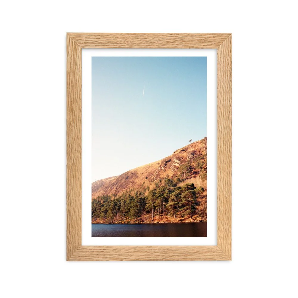 enhanced-matte-paper-framed-poster-(cm)-oak-21x30-cm-transparent-63336e2d1a9d8.jpg