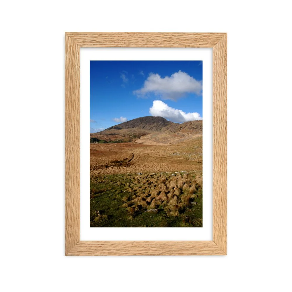 enhanced-matte-paper-framed-poster-(cm)-oak-21x30-cm-transparent-6430315b7ec96.jpg