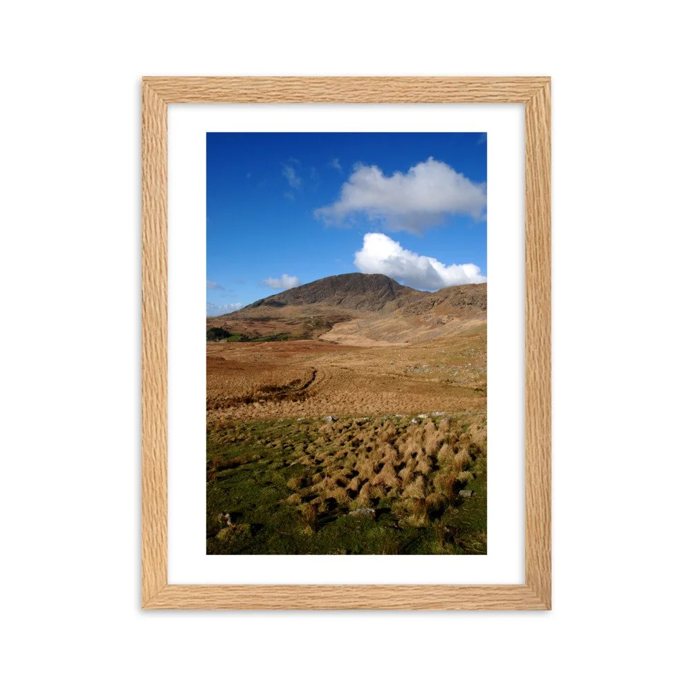 enhanced-matte-paper-framed-poster-(cm)-oak-30x40-cm-transparent-6430315b7ecef.jpg