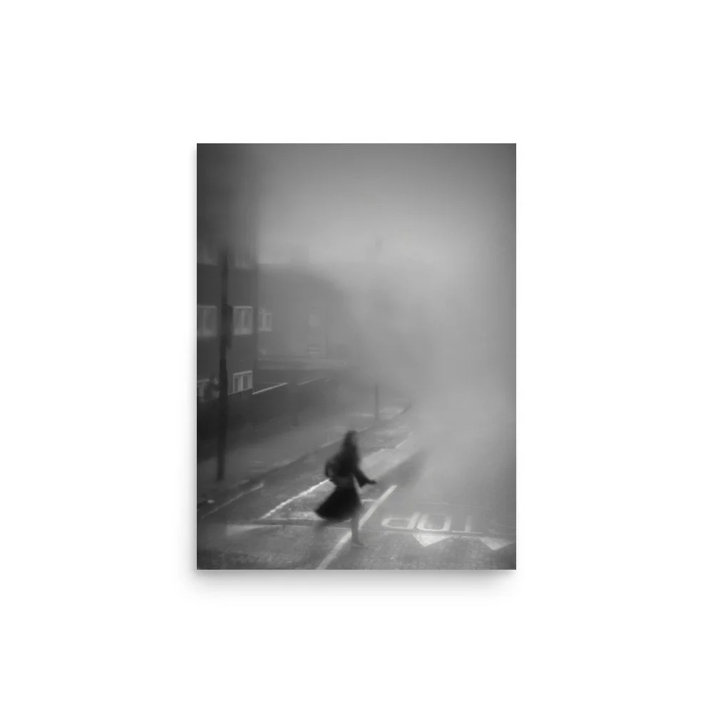 enhanced-matte-paper-poster-(in)-12x16-front-6659dbccaa82d.jpg