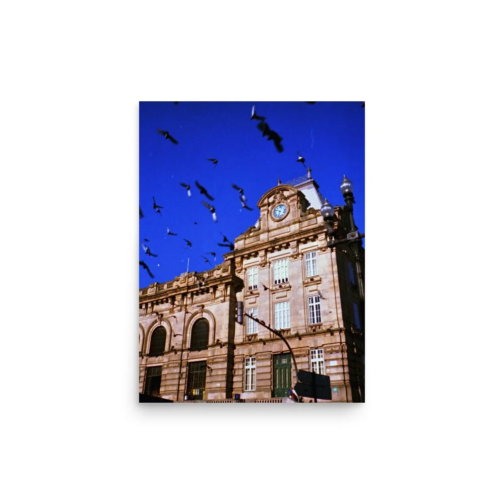 enhanced-matte-paper-poster-(in)-12x16-front-665ef9bca8abe.jpg