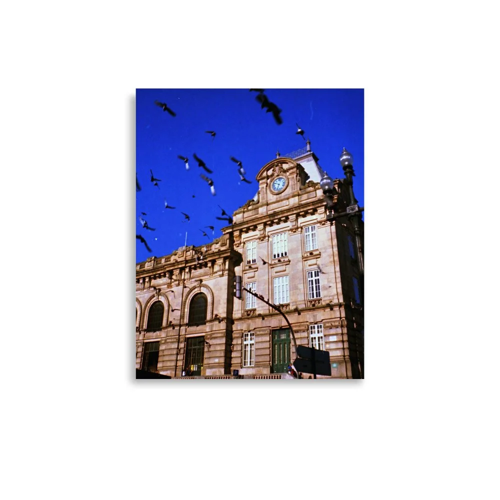 enhanced-matte-paper-poster-(in)-11x14-front-665ef9bca9cbe.jpg