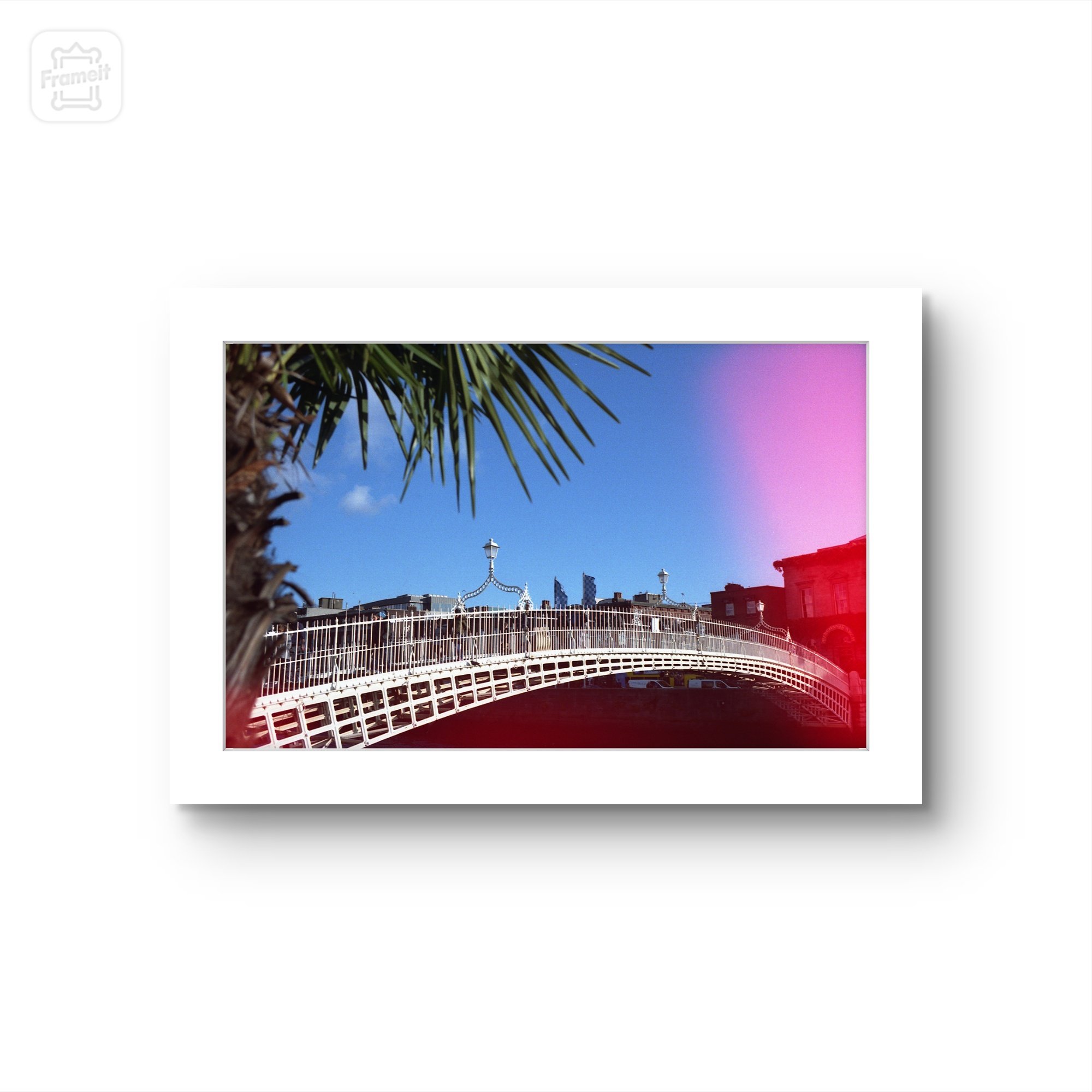 d0fedea0-21c6-11ef-8dcc-b164ca9fdf9f.jpg