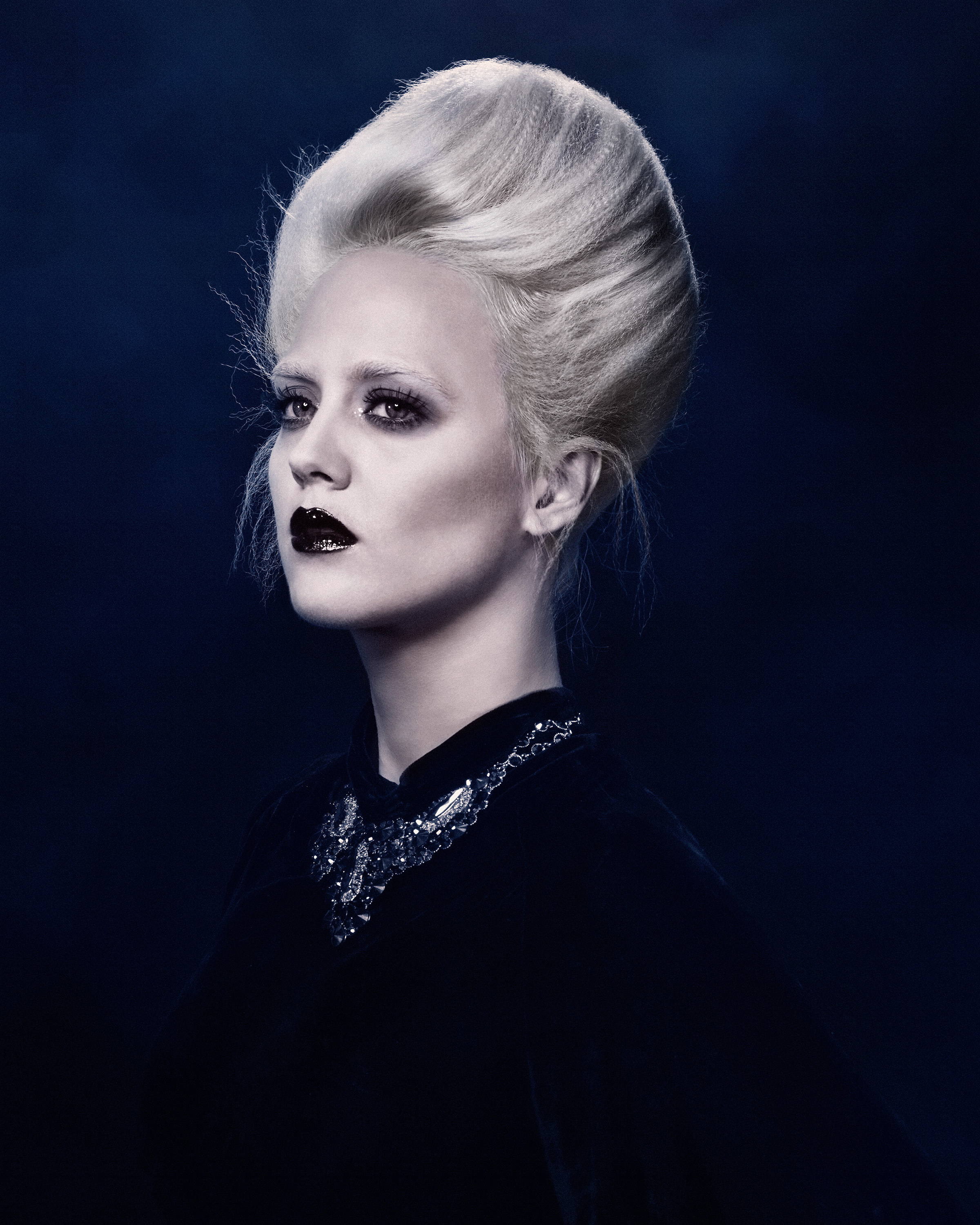 "Moonlight Sonata" Collection for HAUS Salon