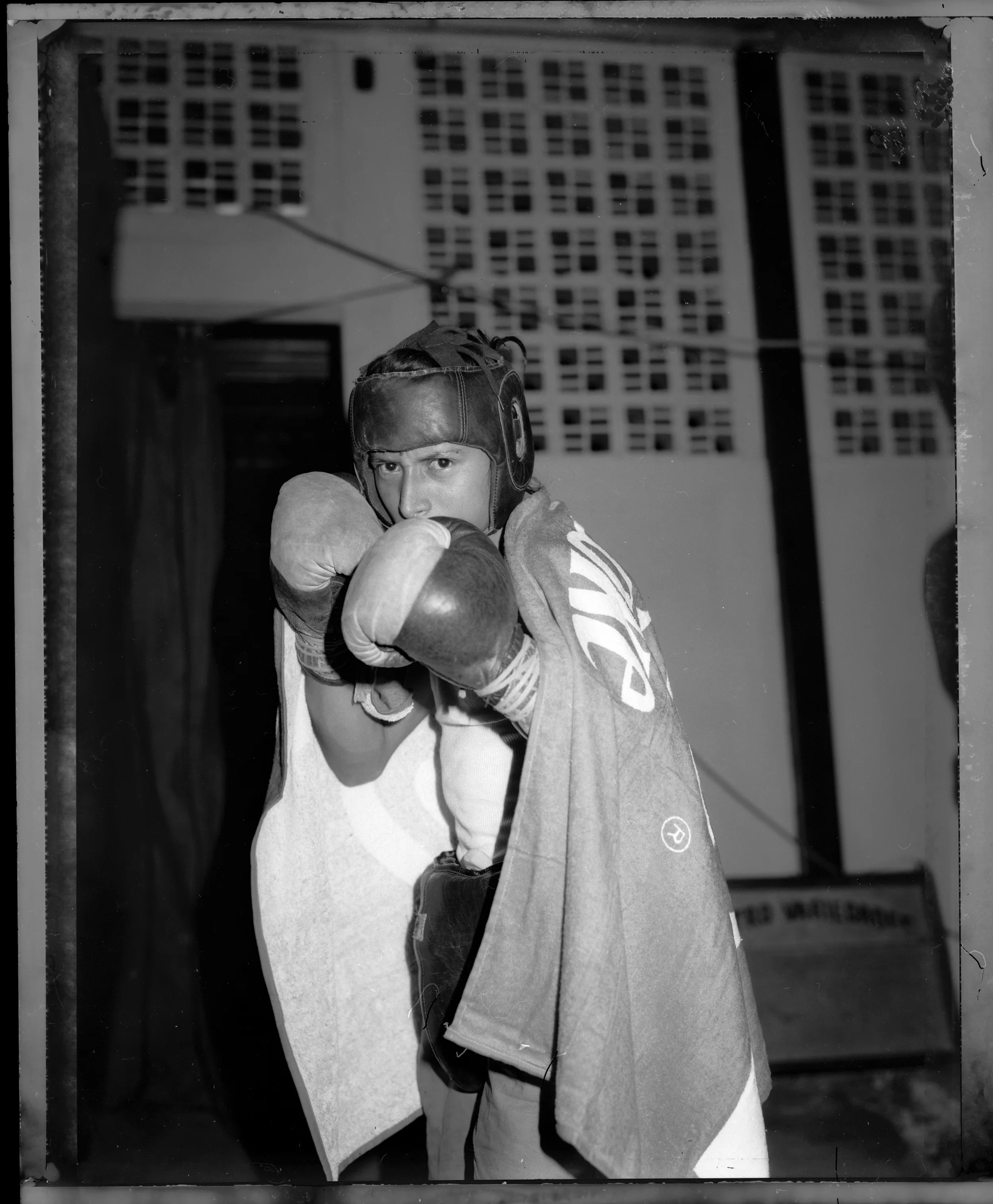 1992Bluefieldsboxer.jpg