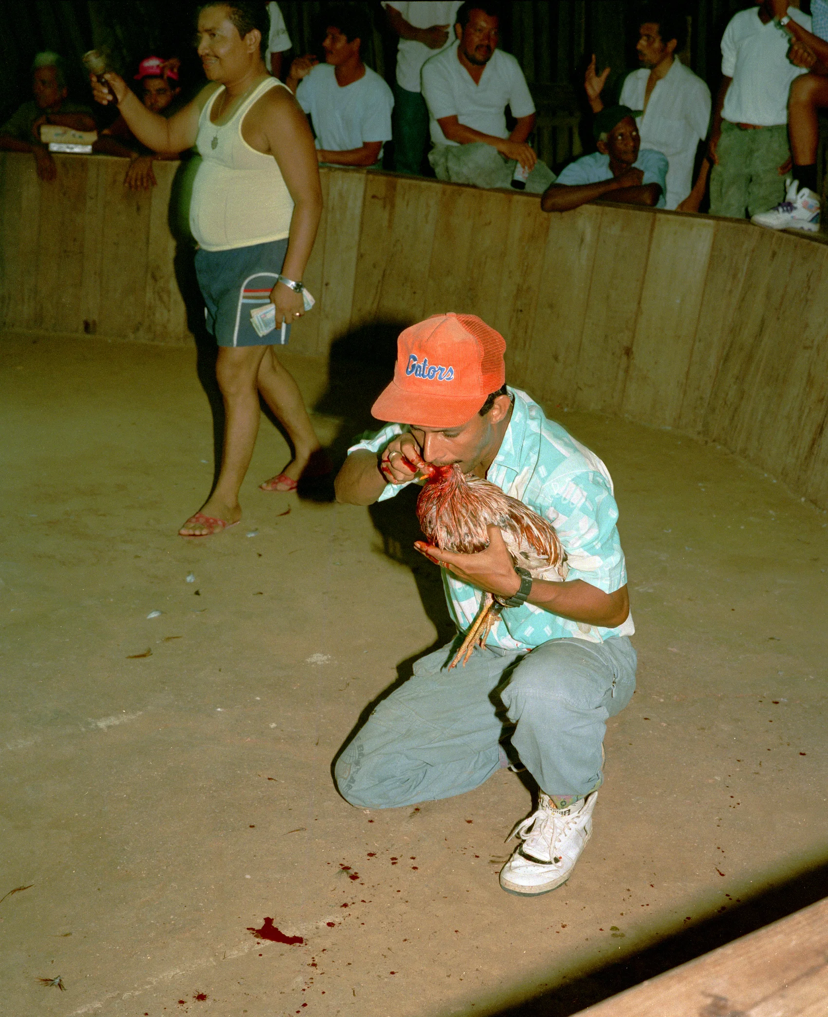 1992Bluefieldscockfight.jpg