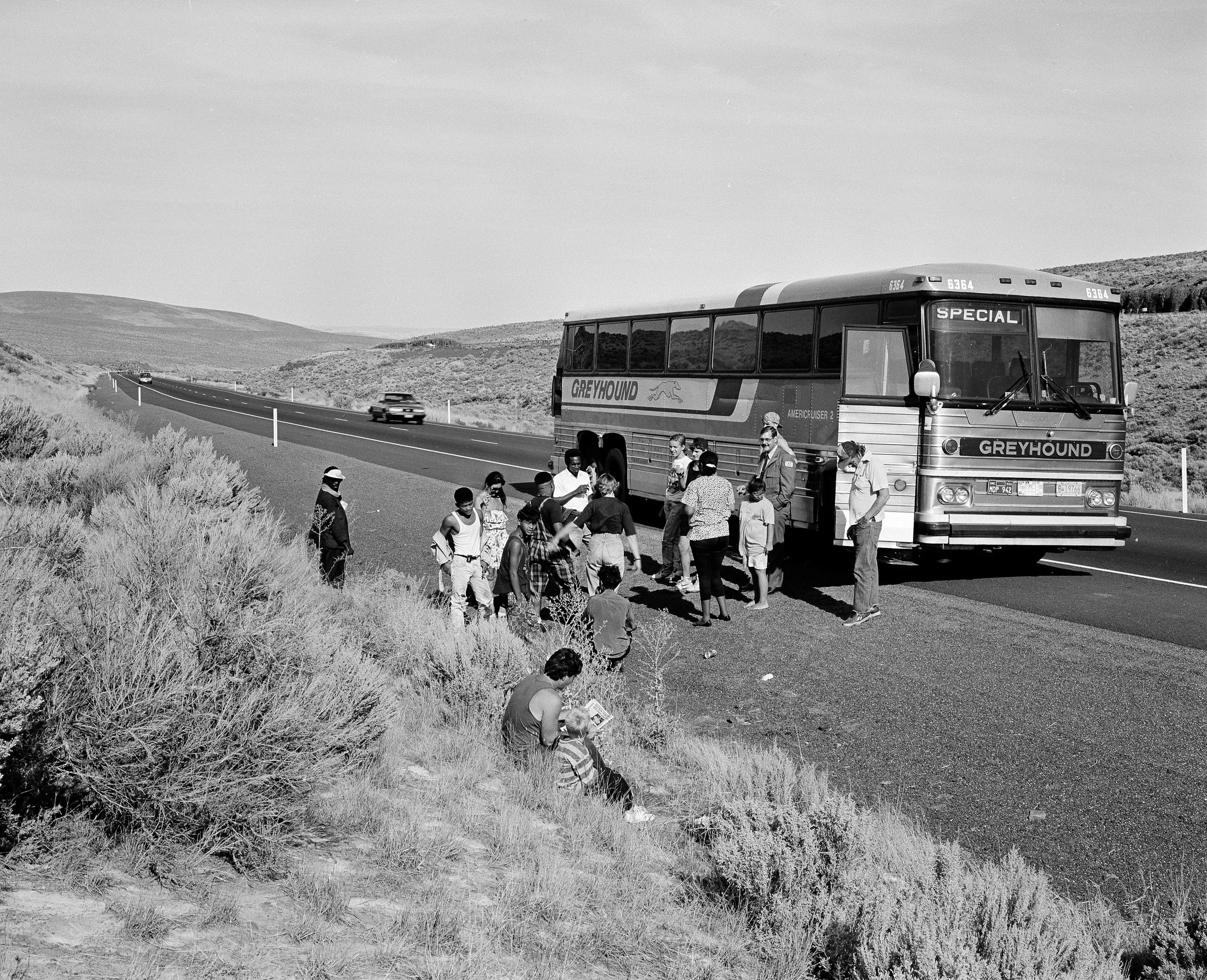 greyhoundWA.jpg