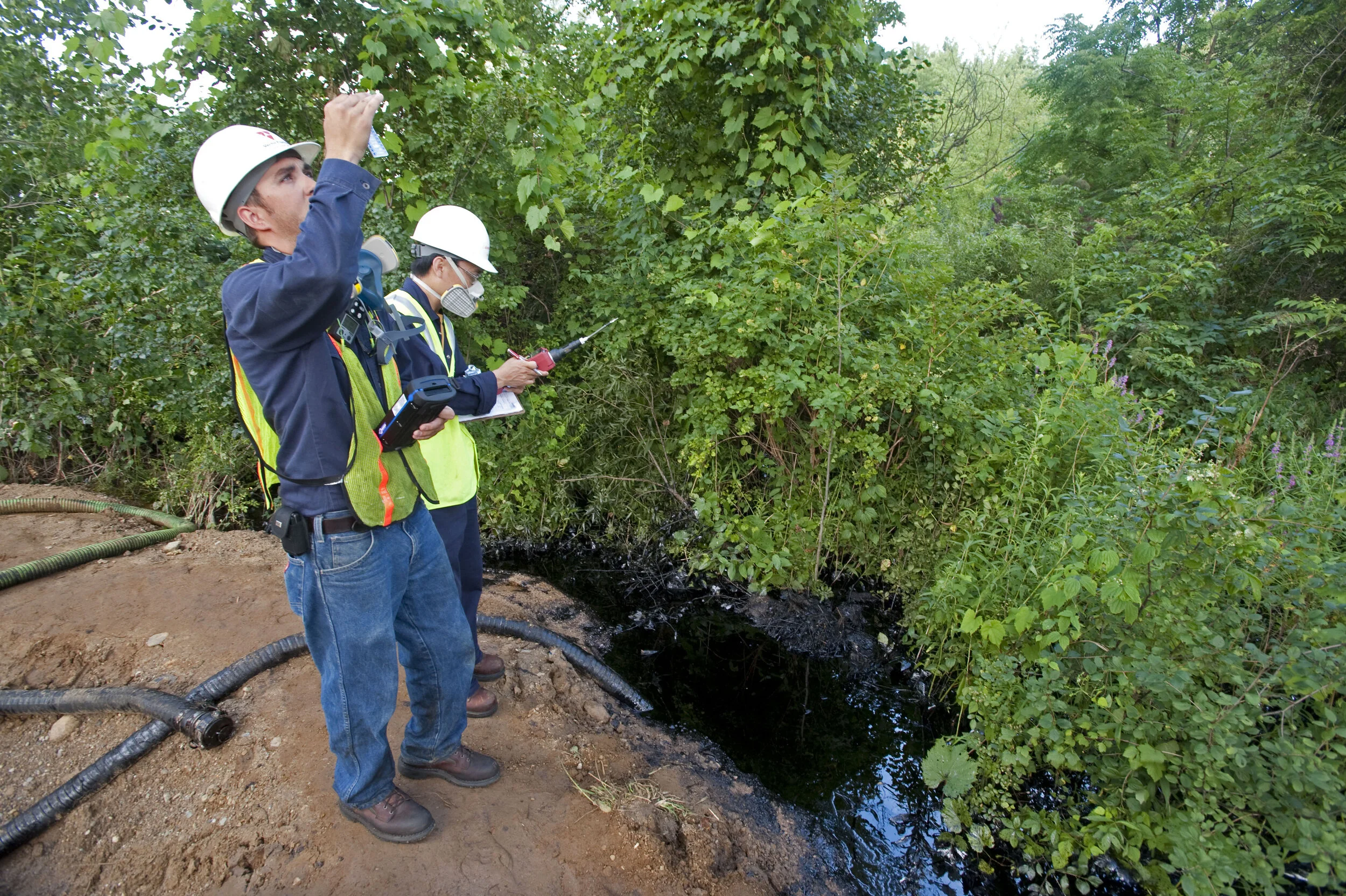 MARSHALL01.jpg