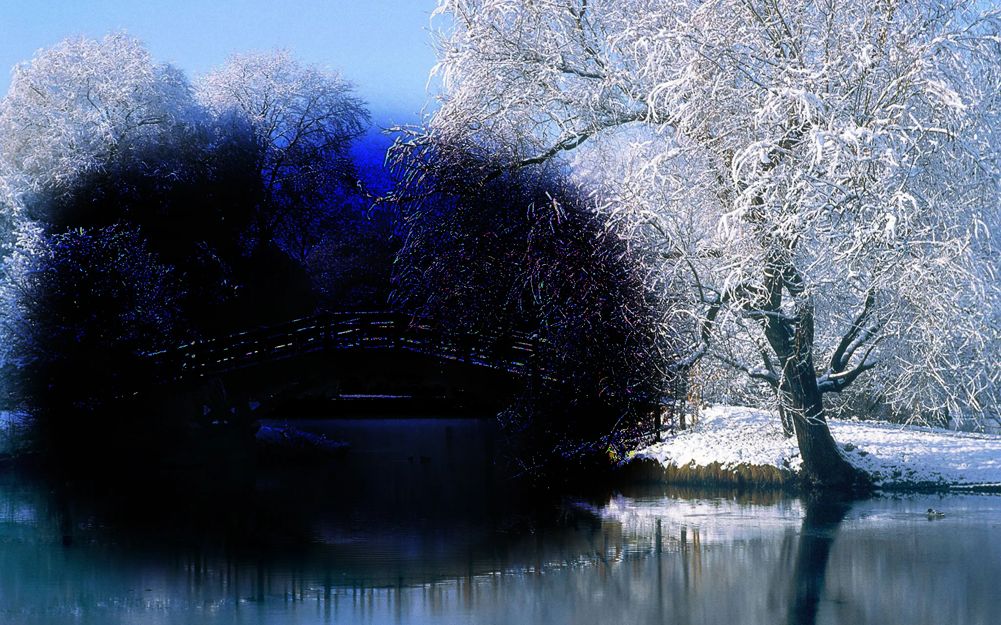 Winter Solstice Show at THE SAINT - Asbury Park