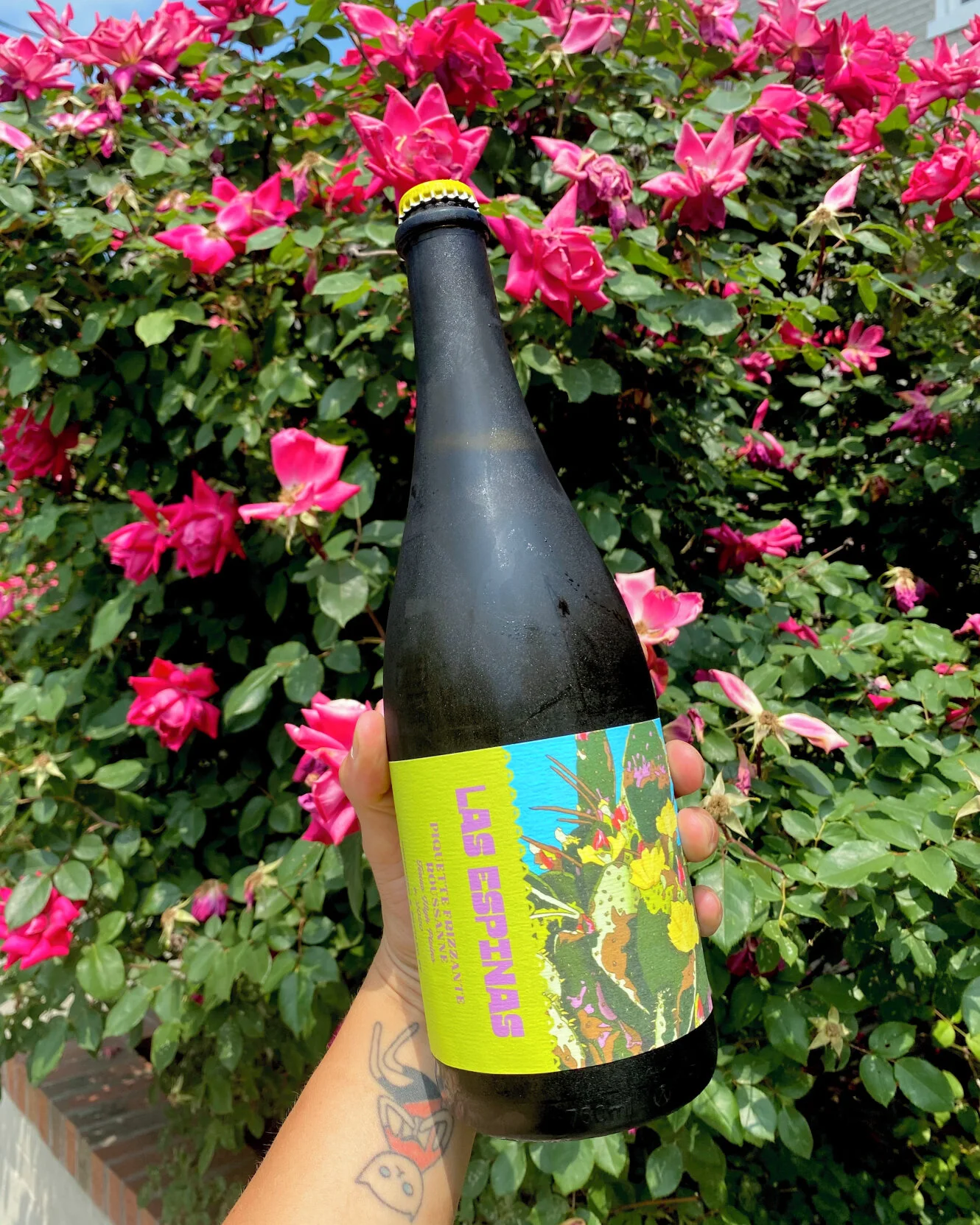 Piquette wine is the perfect way to cool down on these hot summer days 🌞🍷⁣
⁣
Piquettes are low alcohol wines that are refreshing, light-bodied, and totally crushable 🍇 It's actually an old French method of adding water to grape pomace (grapes left