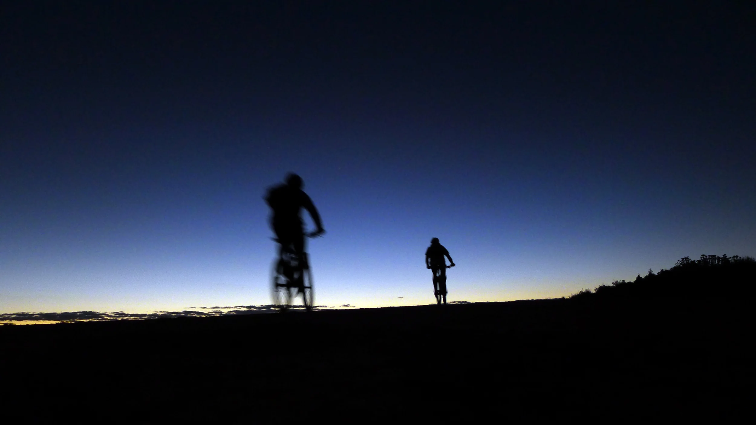 WRIOD silloettes at dawn