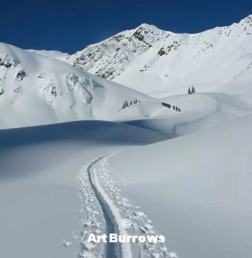 Little Cherub ski tour track