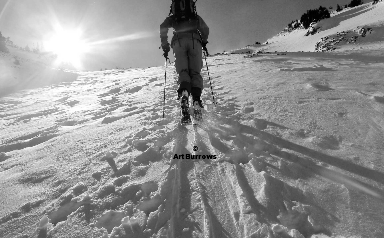 Beau Ascending B&W
