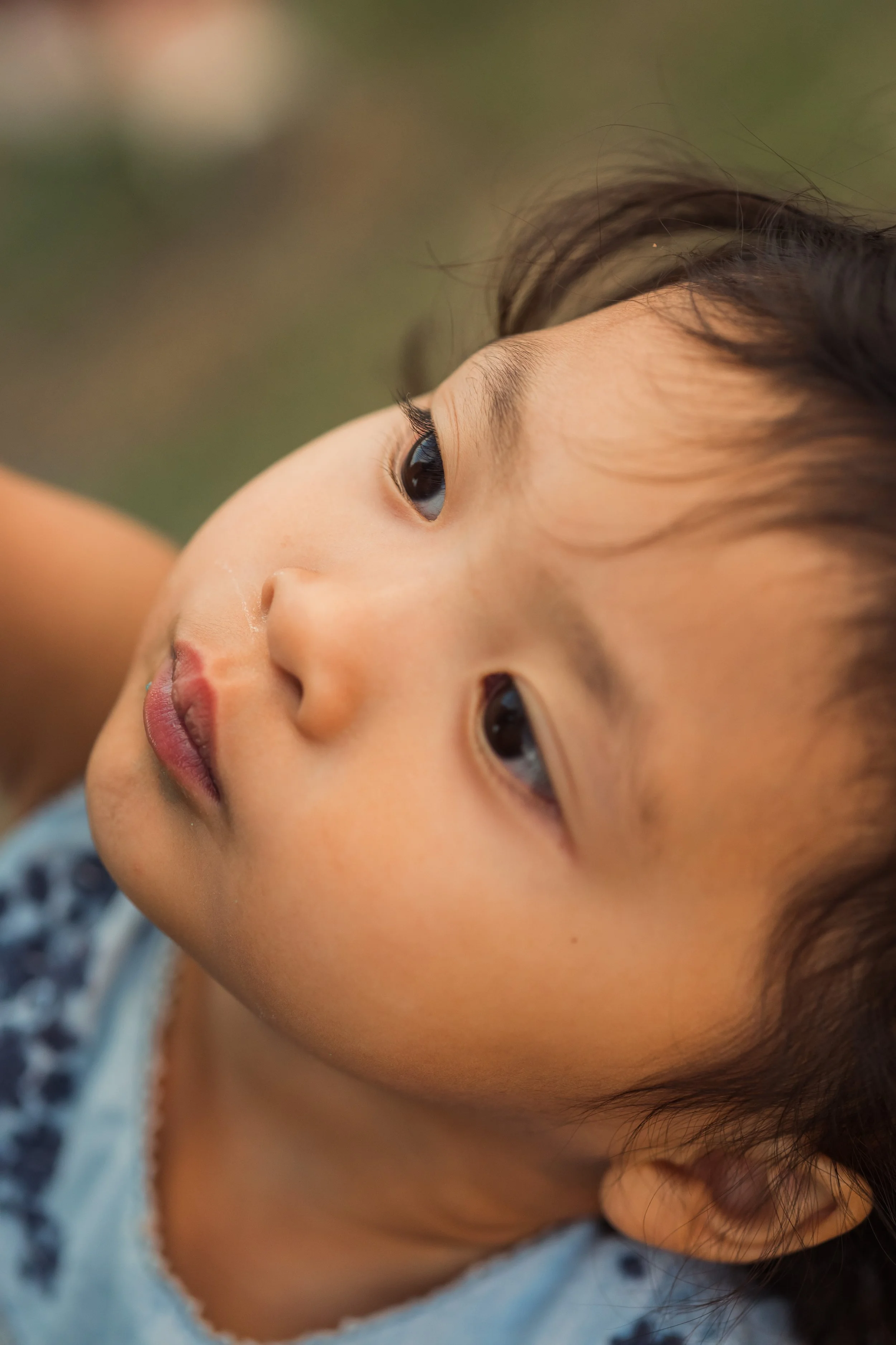 Livonia Michigan Family Photography - Vance-84.jpg