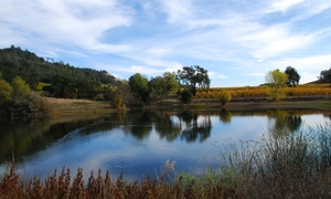 CREATING AUTHENTICITY OF PLACE
