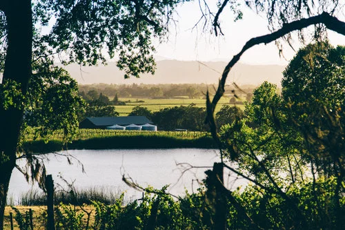Silver Oak Winery