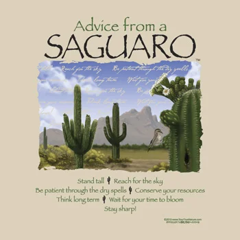 Advice From A Saguaro Cactus Adult T Shirts Sedona Wonder Store
