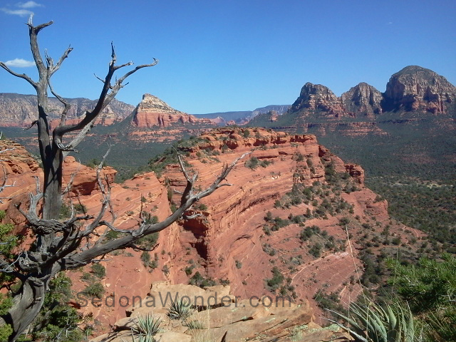 Mescal Mountain Overlook