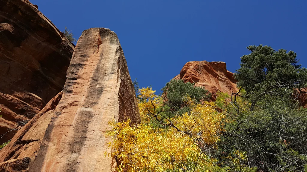 Palatki6_Sedona_Red_Rocks_fall_colors.jpg