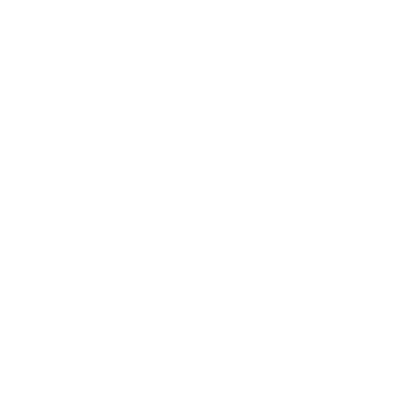 Stephanie Snyder