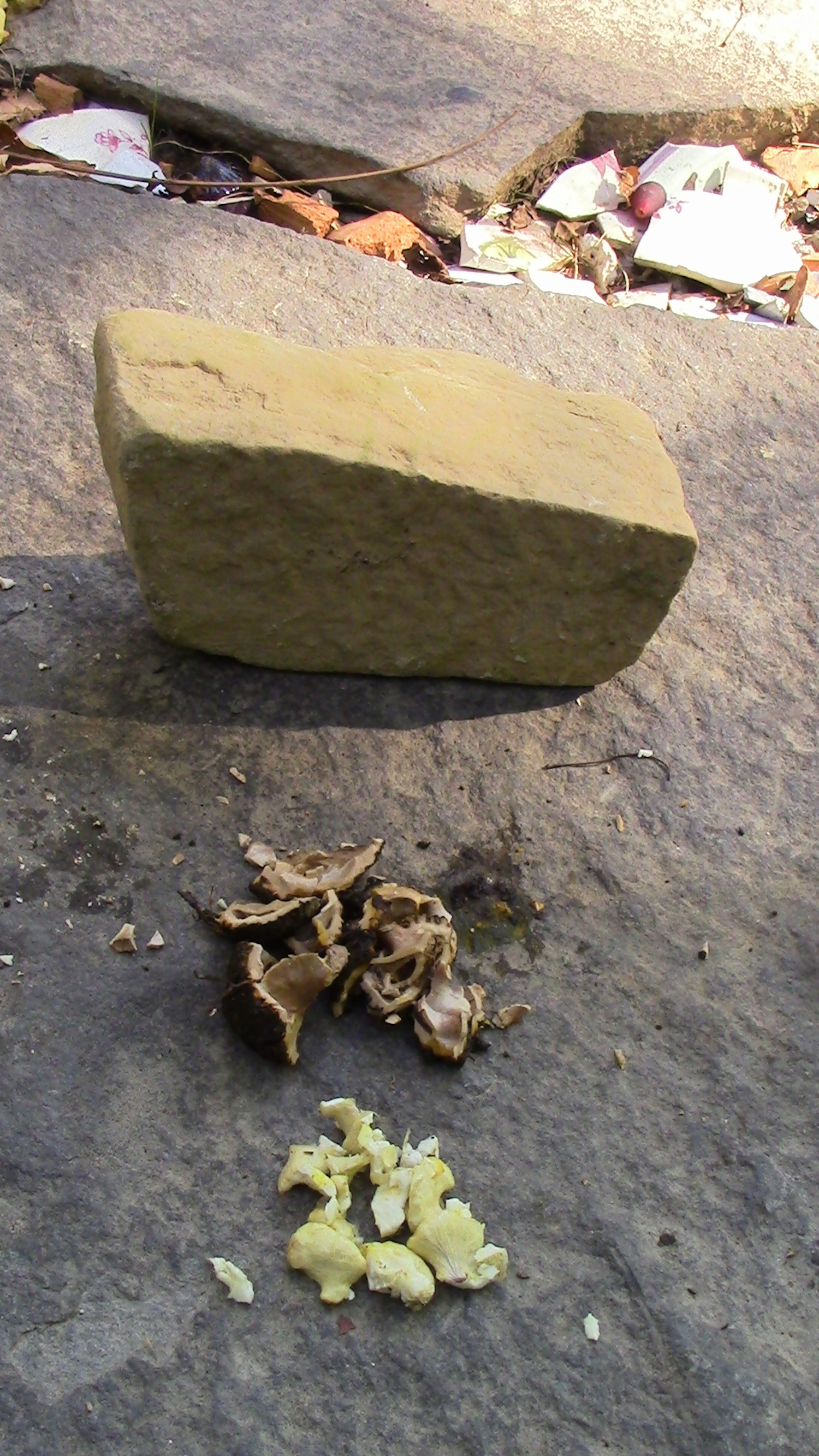 Stone for cracking; nut shell remnants (to compost); and nut meat to eat.