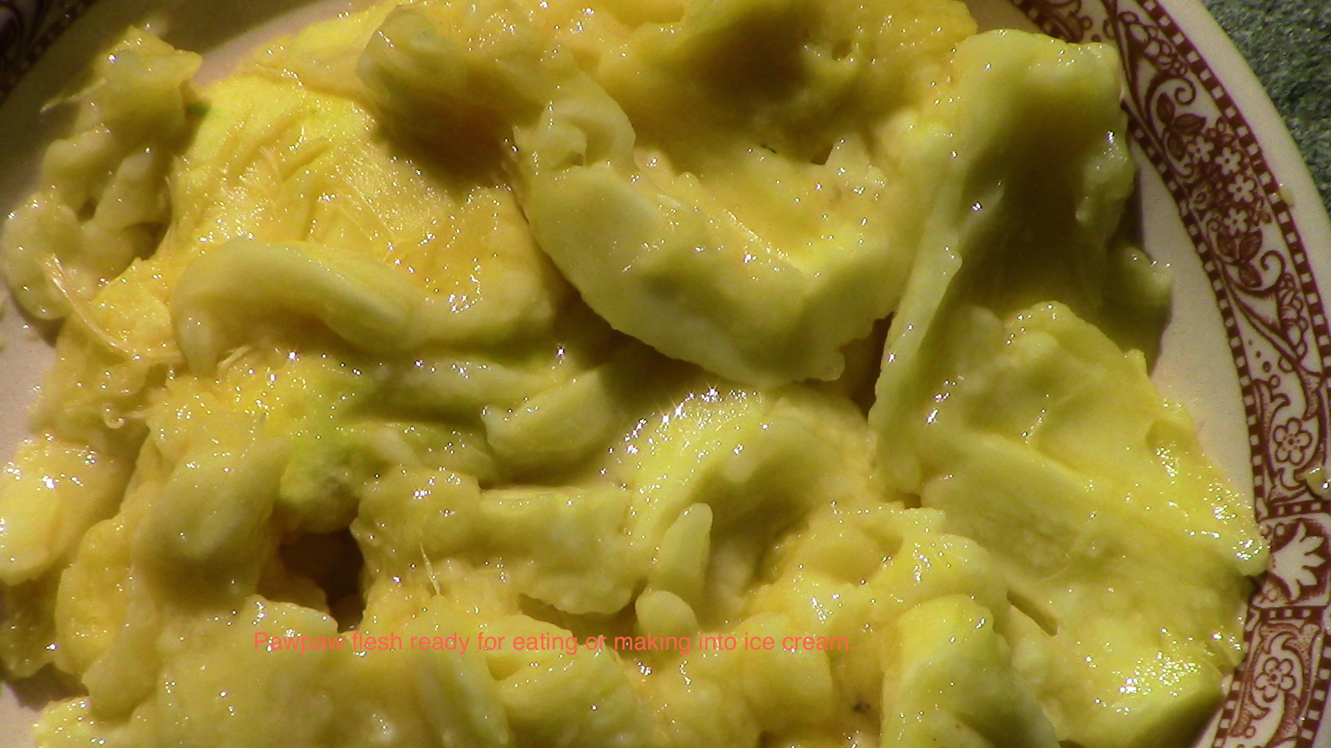 The delicious custardy pawpaw flesh is now ready for eating fresh as is; or made into ice cream. BTW, the pawpaw packs an impressive nutritional profile: 3 oz of fruit supplies more than half of our daily iron needs and over a third of our daily magnesium needs! That's a lot of nutrient density for a fruit. Click to see more nutritional information . 