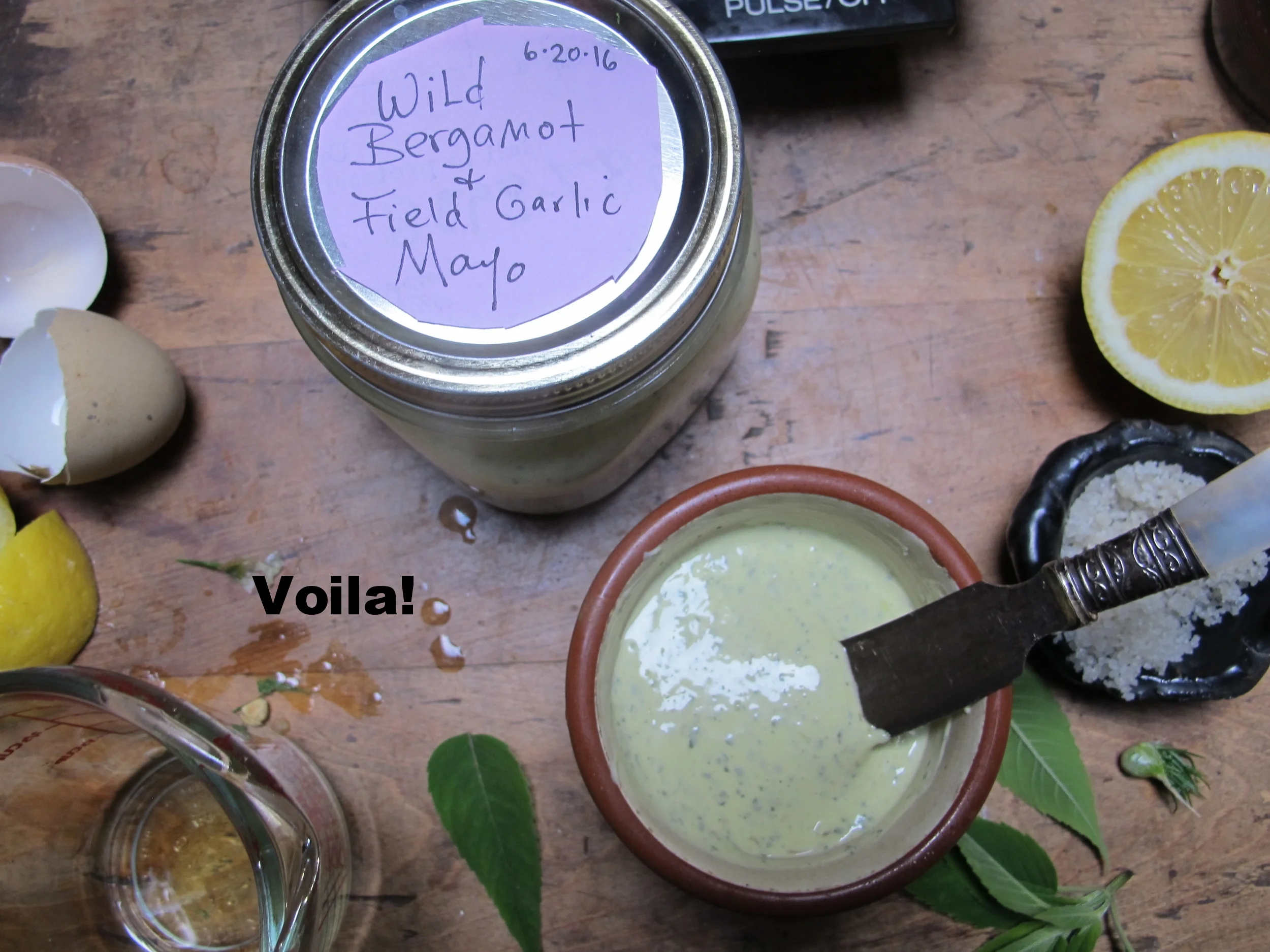Mayonnaise Master Recipe & All Its Herbal Variations — Foraging and