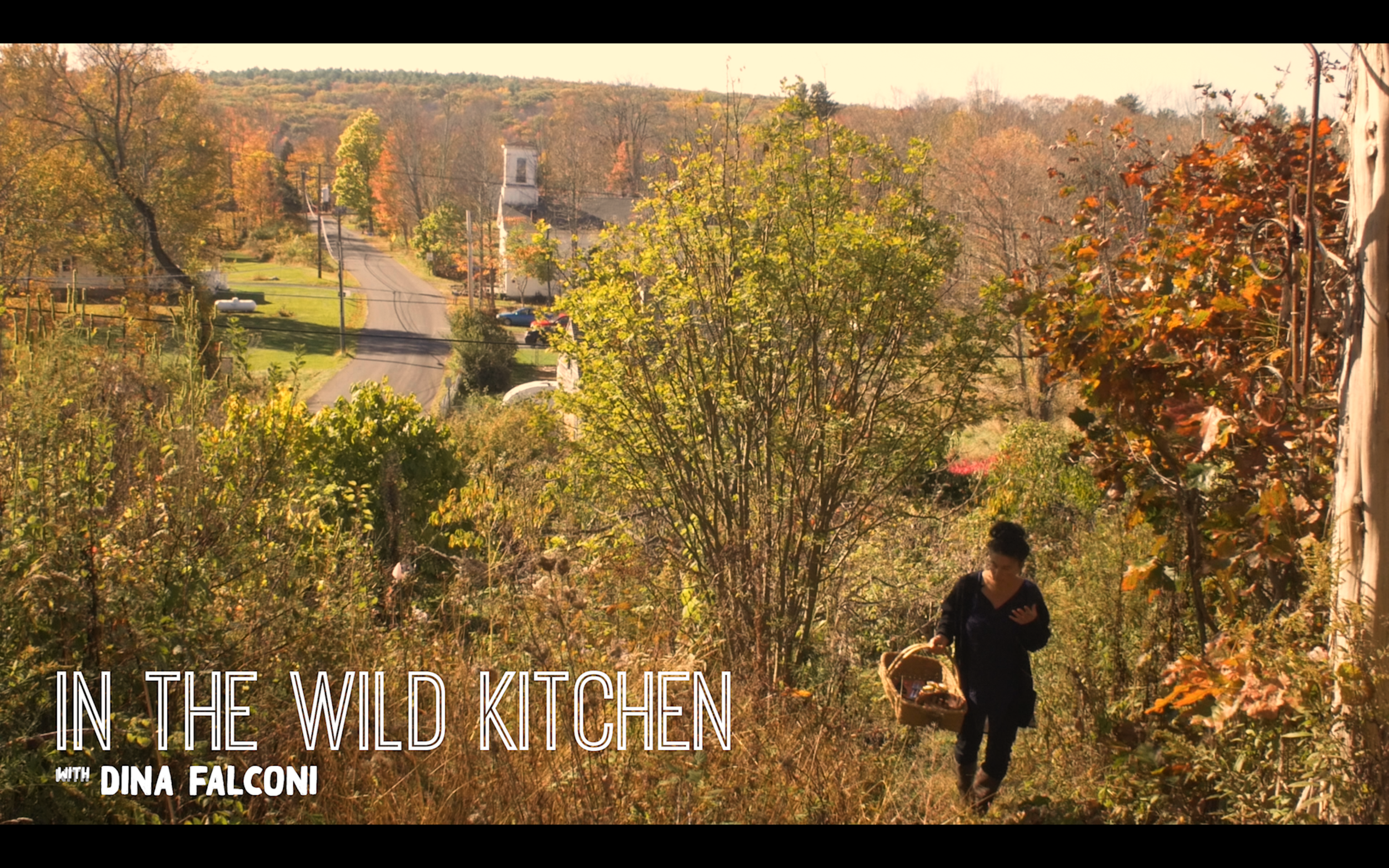 In The Wild Kitchen with Dina Falconi - Online Learning at Your Own Pace