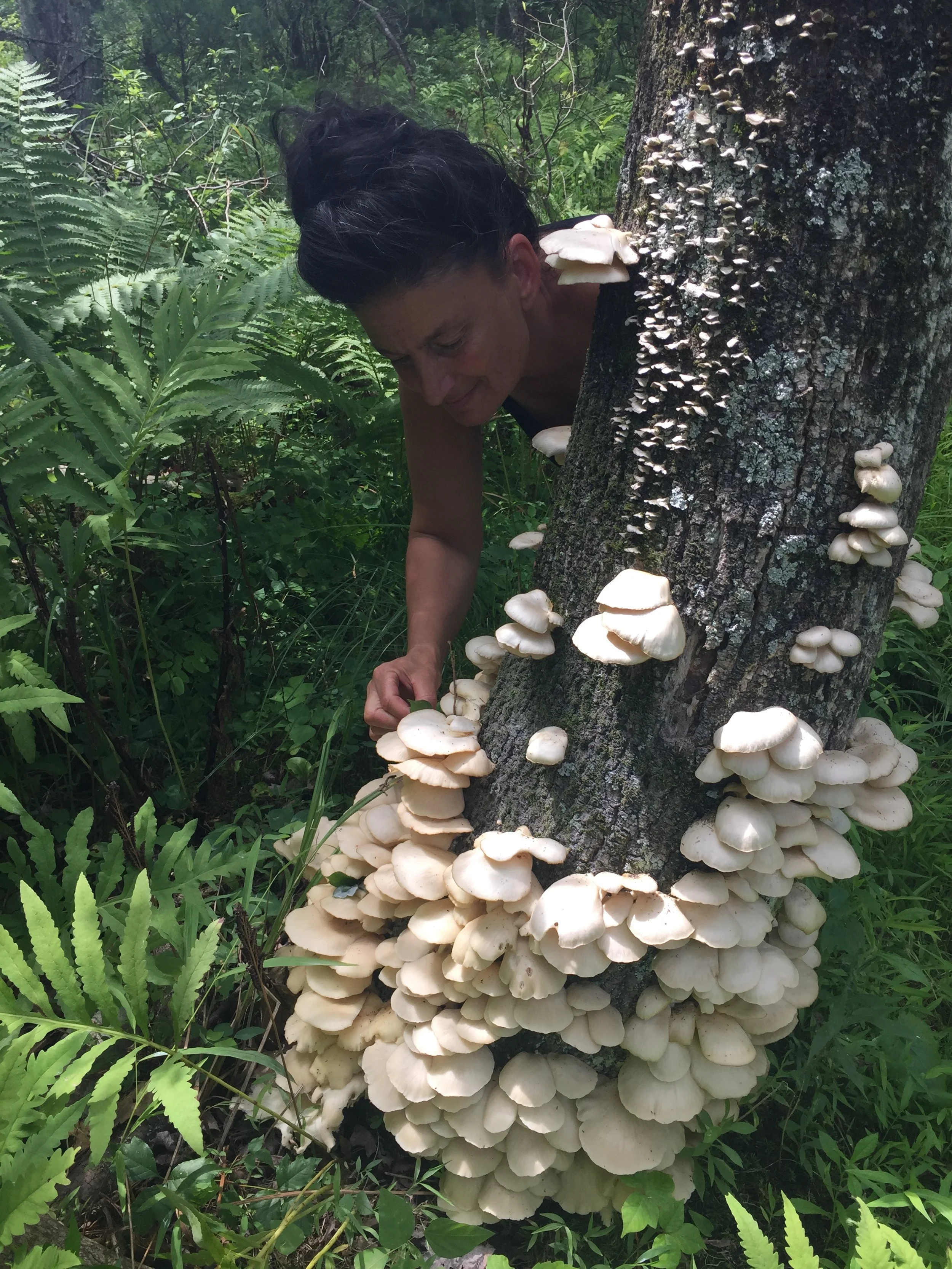 Foraging Walk with Dina at Vlei Marsh Preserve in Rhinebeck