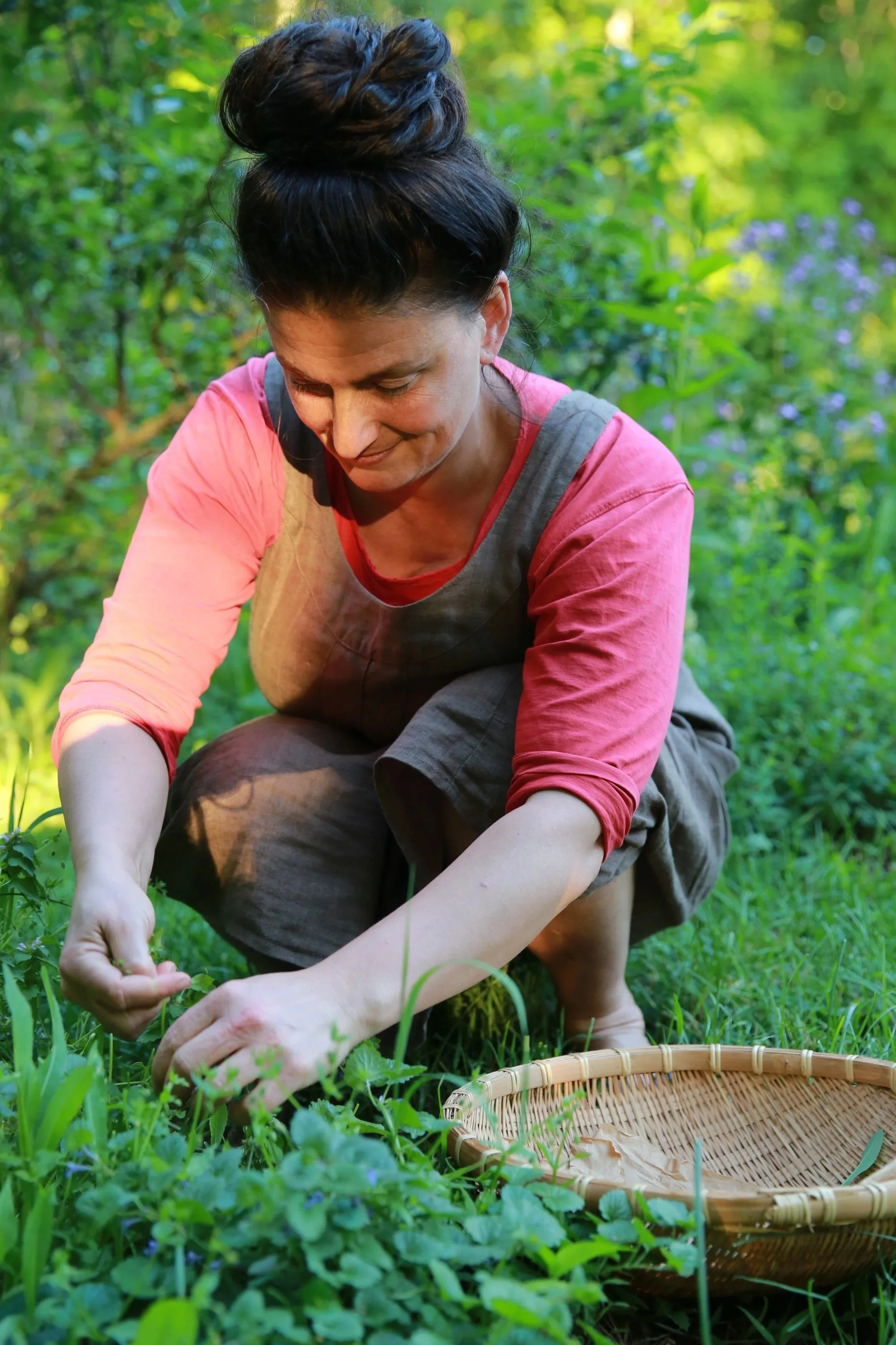 Fall Wild Harvest: Sharing Mother Nature's Bounty Edible &amp; Medicinal Plant Walk at Opus 40