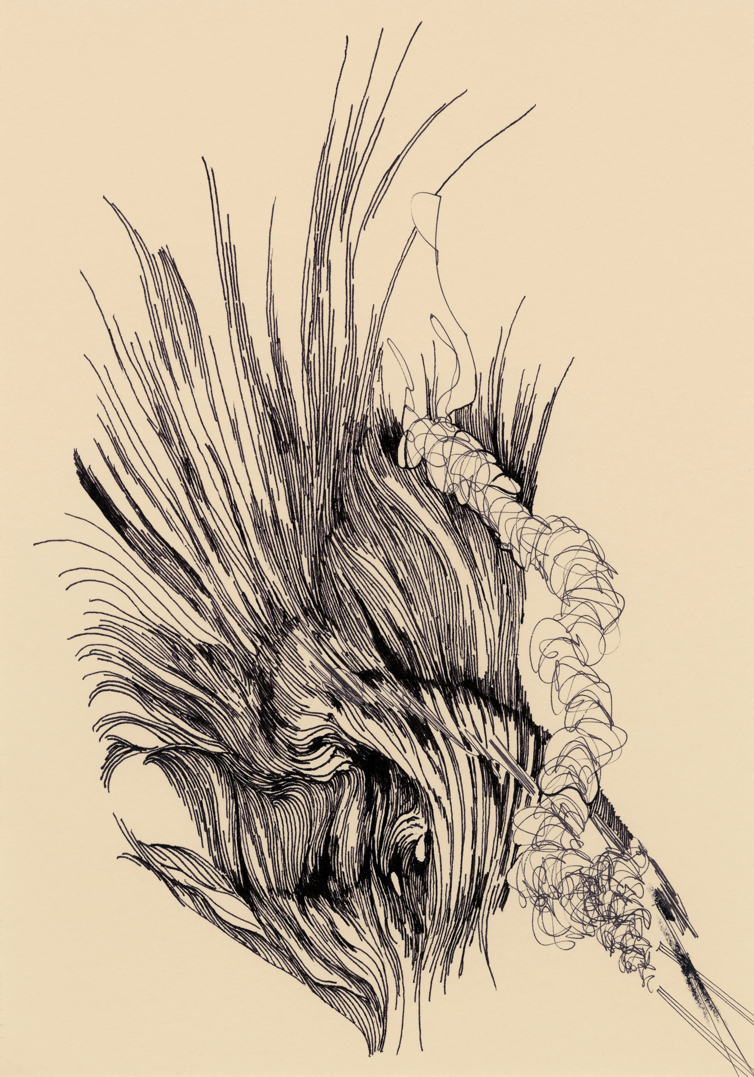 Untitled , 2015 Ink on paper 7 in x 10 in