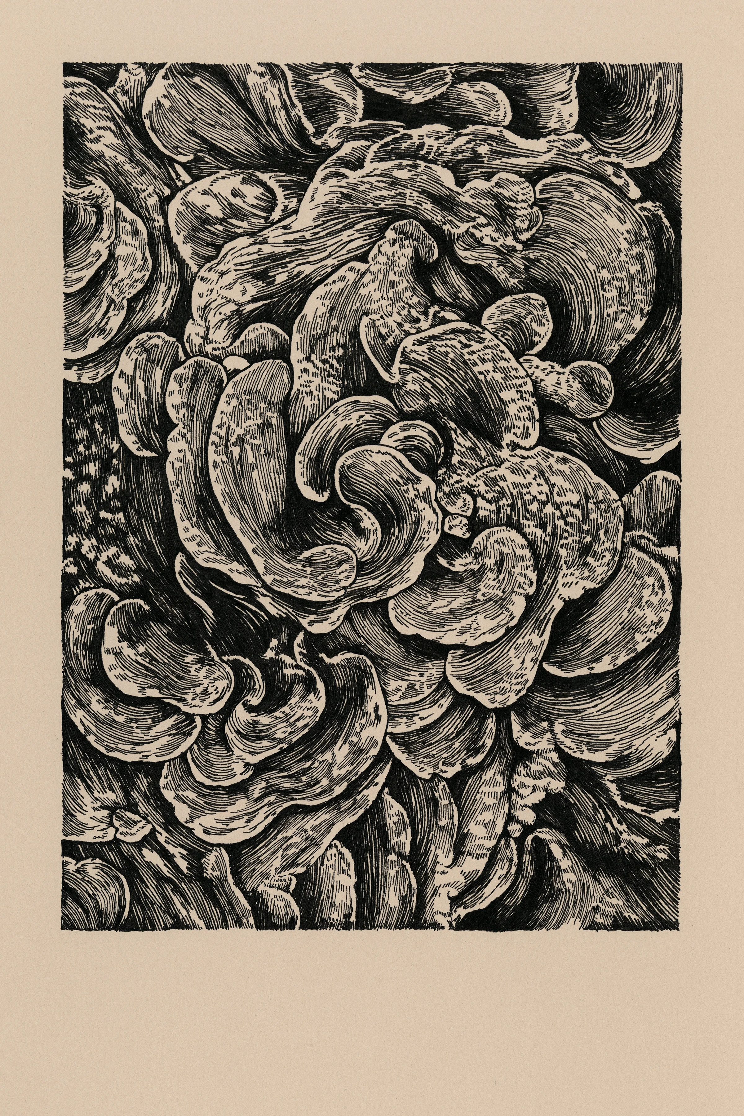 Untitled , 2015 Ink on paper 6 in x 9 in