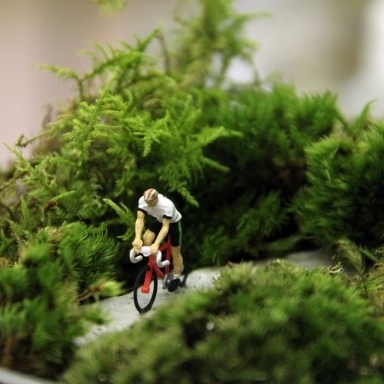 Cyclist-Terrarium-570x384.jpg