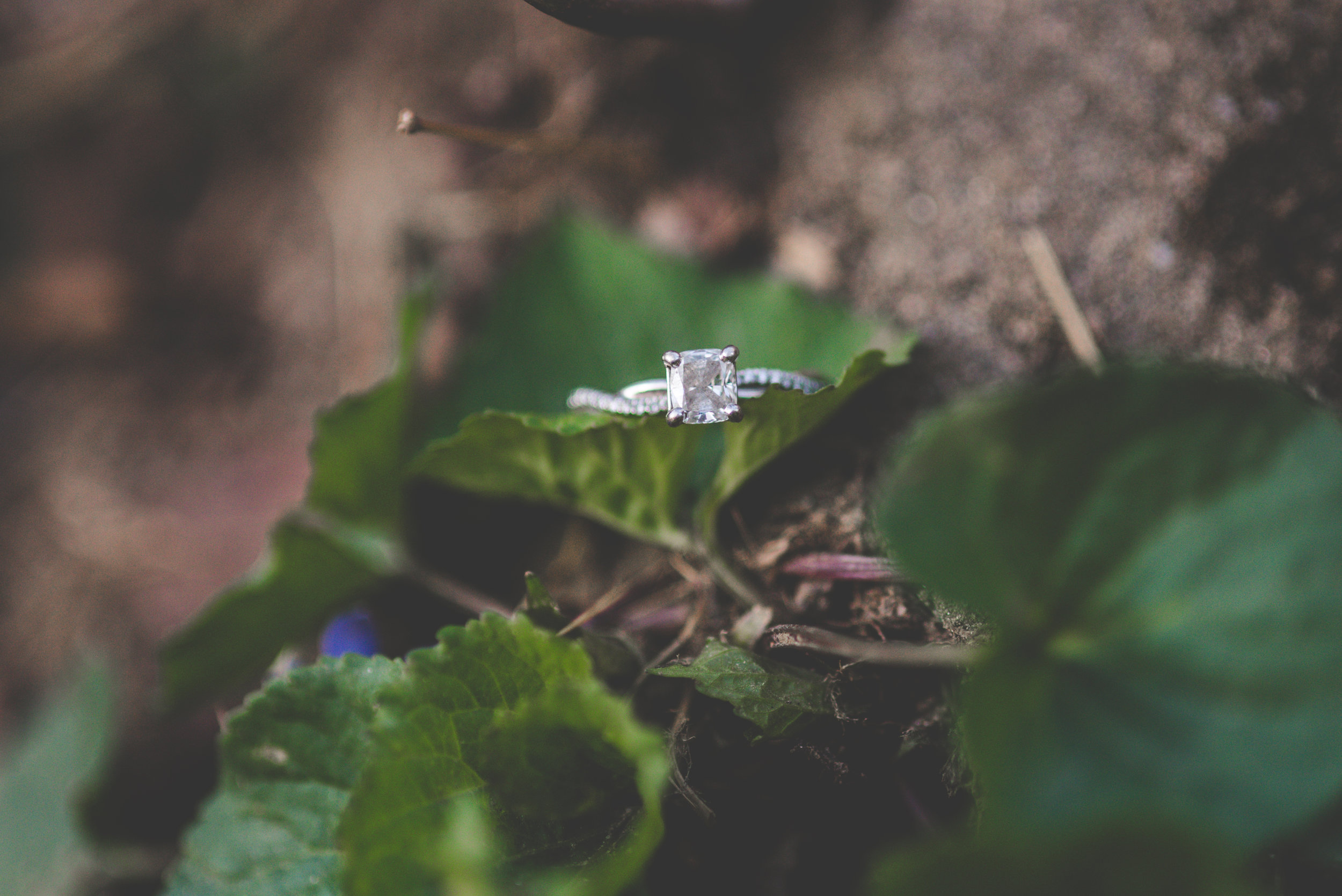 melissabrianblog-31.jpg