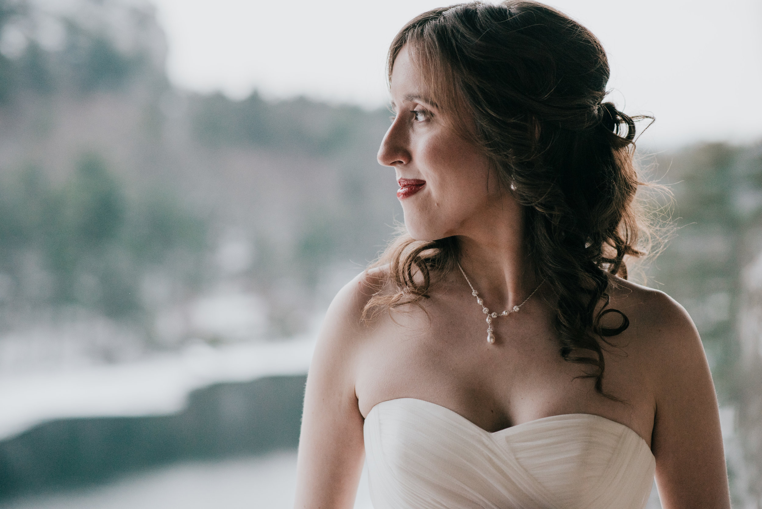 mohonkmountainhouseupstatenywedding-7.jpg