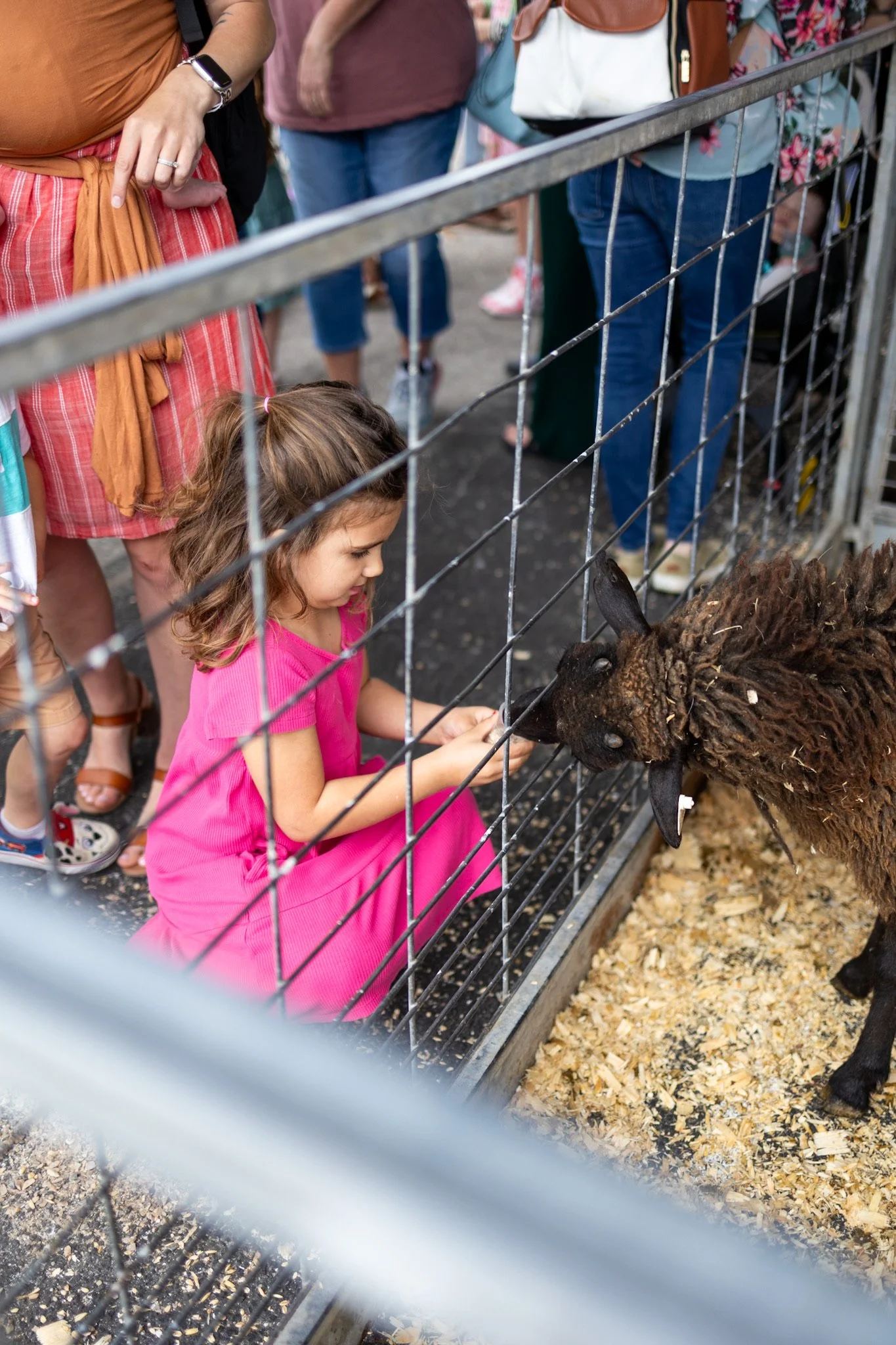 Photo Mar 31 2024, 10 50 54 AM.jpg