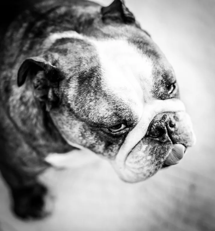 BW04Marv.DCarrigan.jpg