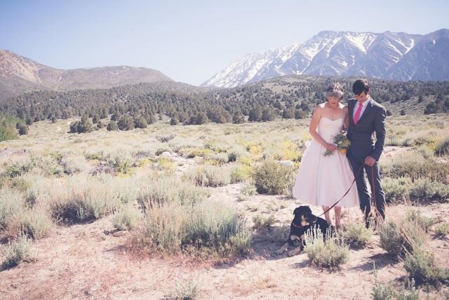 This was a scenic wedding without question. A few valuable lessons learnt here...
When it&rsquo;s as hot as hell don&rsquo;t wear tights and when you are English and have to ask a bunch of Americans to face the water for the group shot expect some ri