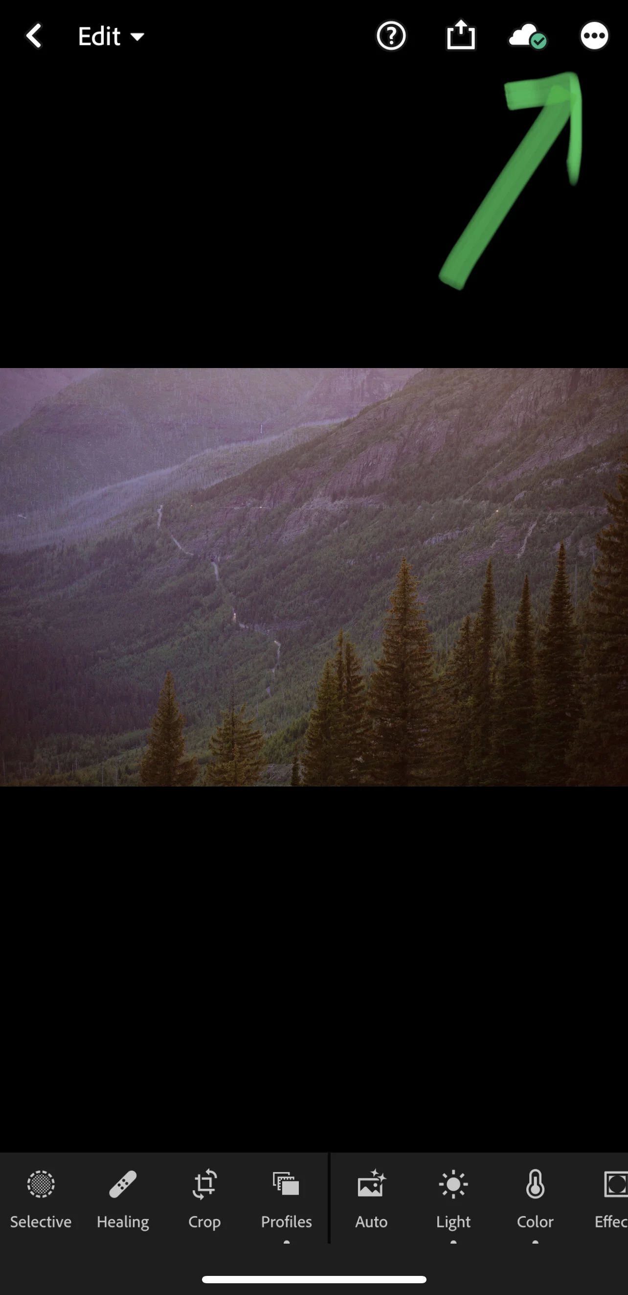 IMG_B7986054436F-1.jpeg