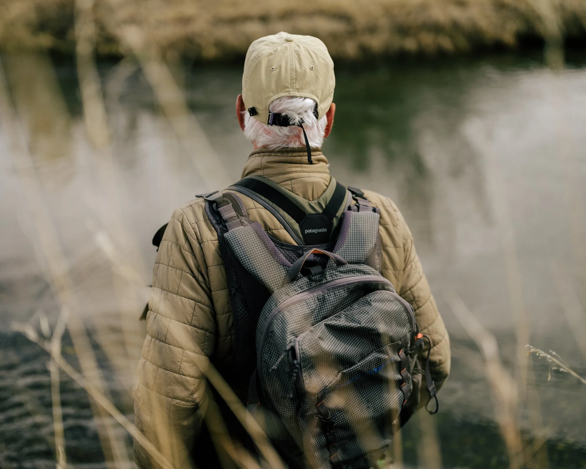 feature fish 4x5.jpg