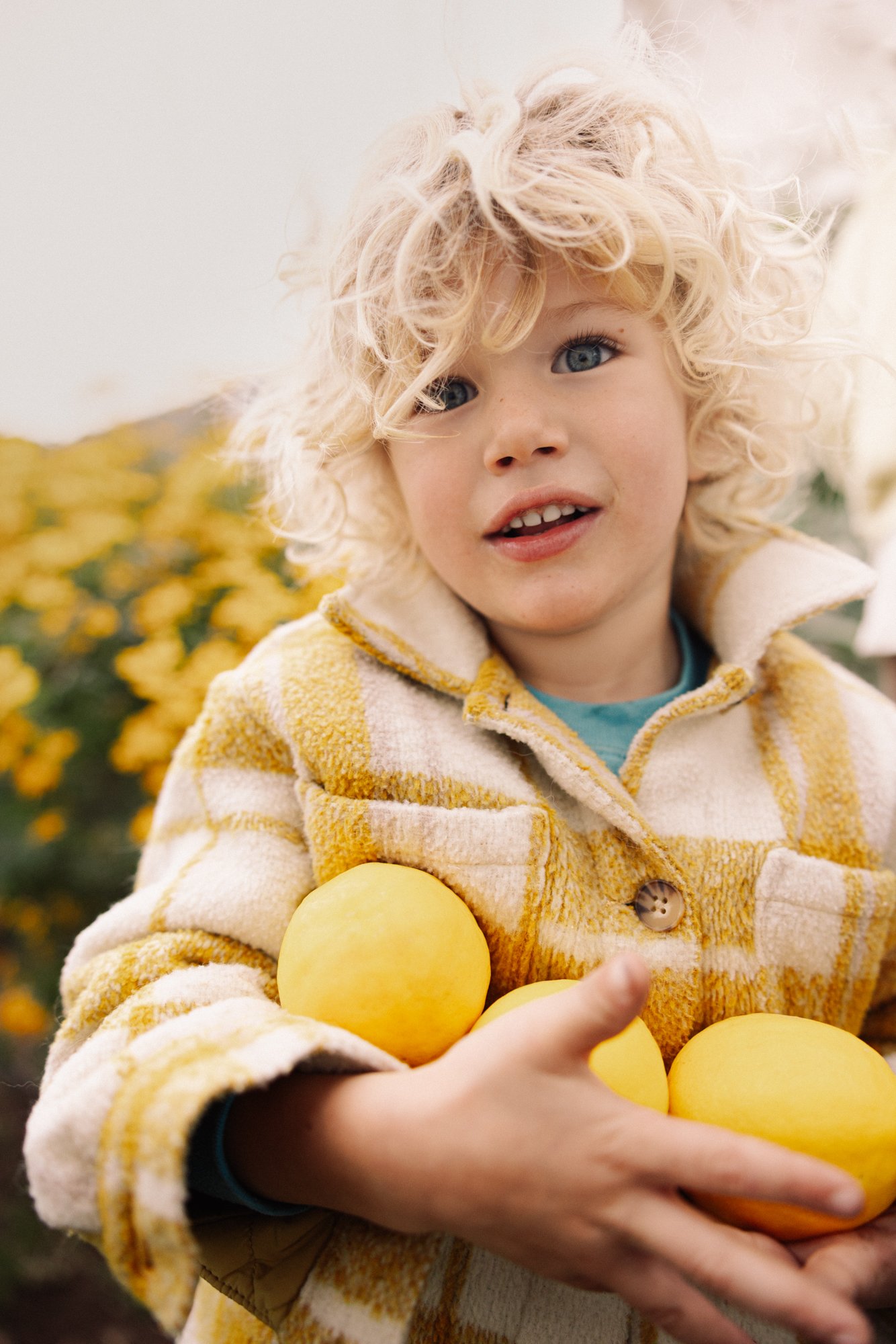 feature lemons 4x5.jpg