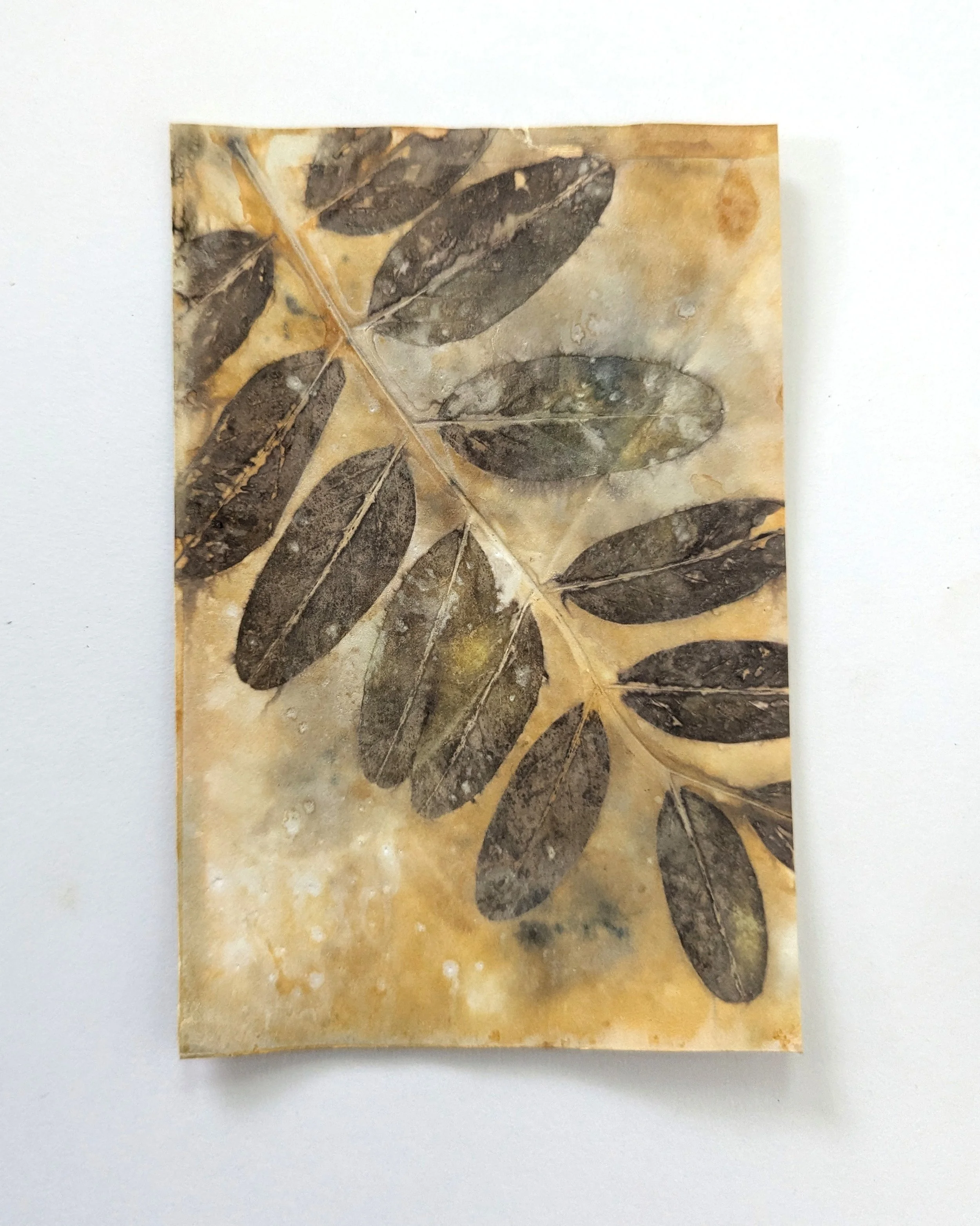 4x6_ecoprint_033b.jpg