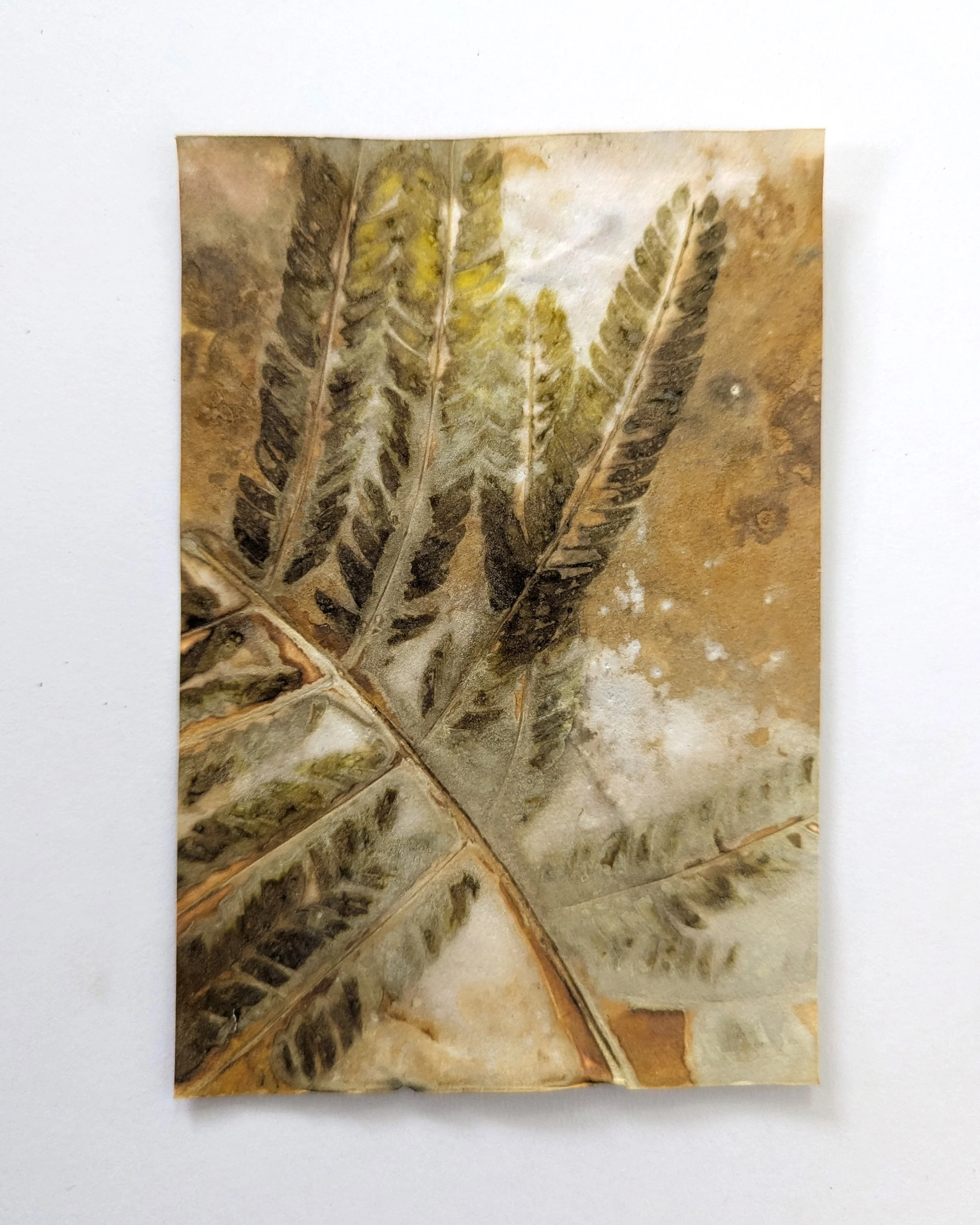 4x6_ecoprint_036b.jpg
