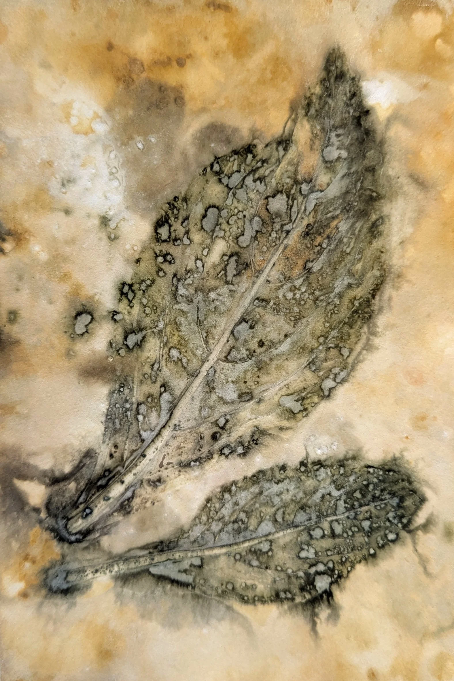4x6_ecoprint_042.jpg