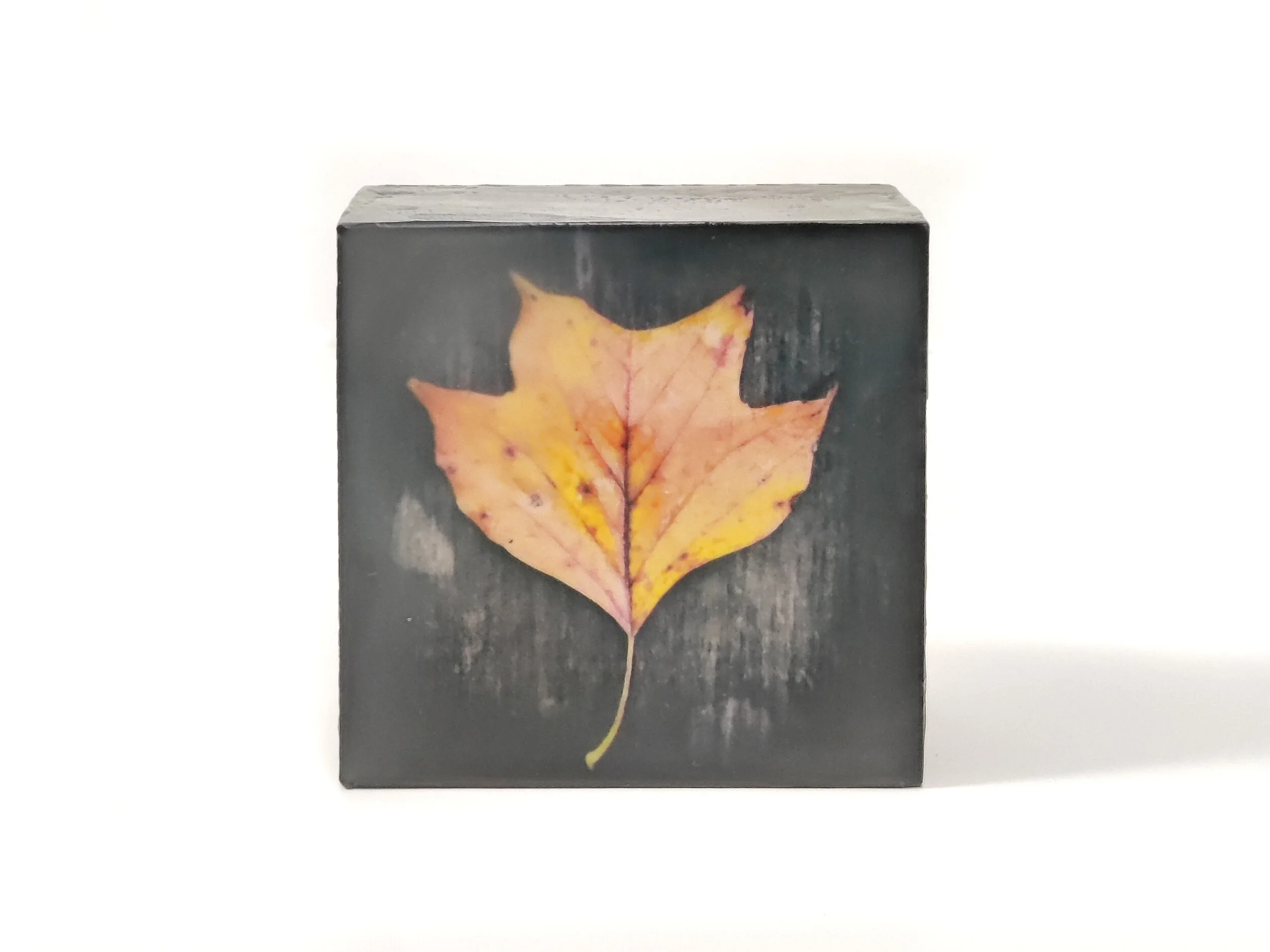 Lone Leaf No.1 (4x4") SOLD