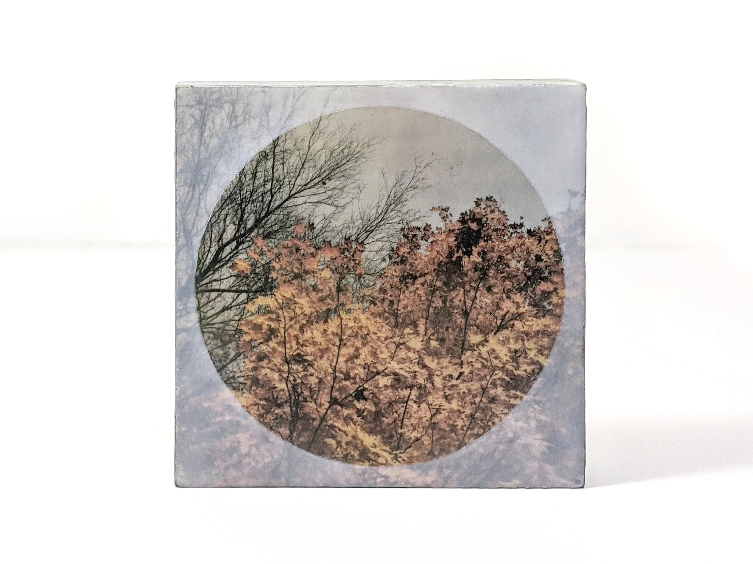 Porthole No.1 (6x6")