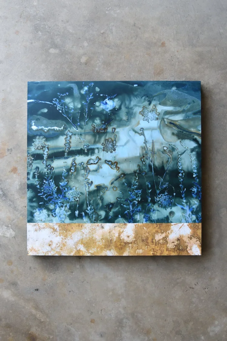 Dreaming into Dawn - 30" x 30"